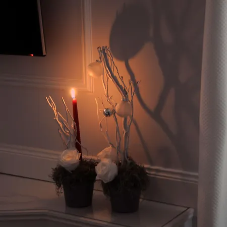 Fontana Di Trevi Gæstehus